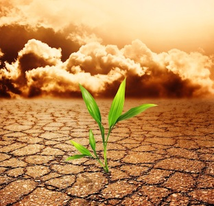Caribbean Looks to France as Key Partner in Climate Financing