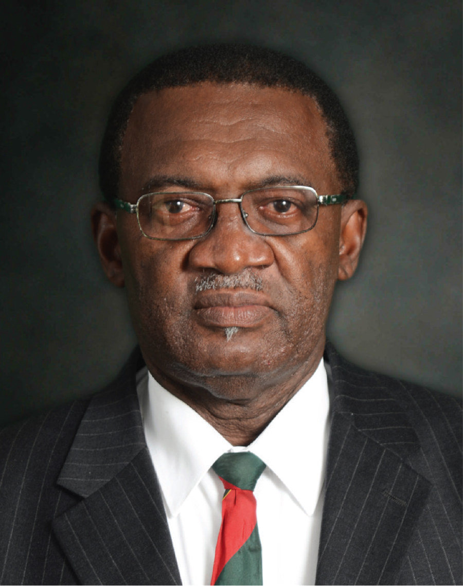 Hon Eugene Alastair Hamilton -                               
Minister of Agriculture, Health, National Health Insurance, Human Settlement, Community Development, Gender Affairs, Social Services, Co-operatives and Lands