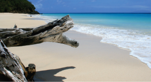 beaches