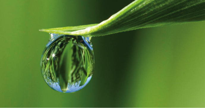 gogreen