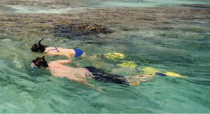 swim