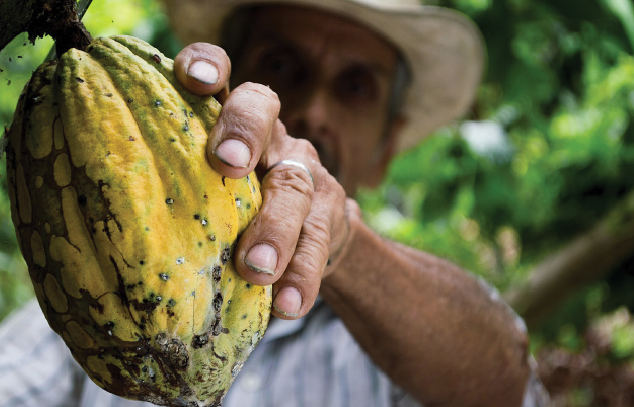 Opportunities For Agricultural  Diversification In Grenada (Part 1)